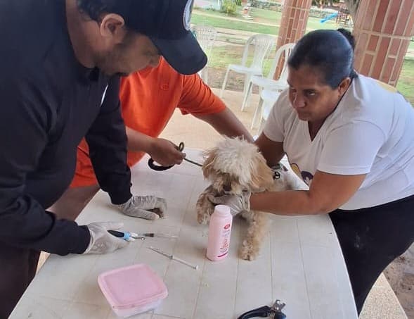 Jornada de atención - Foto 1